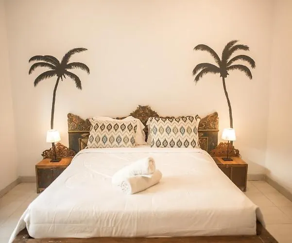 Tropical Albergue *