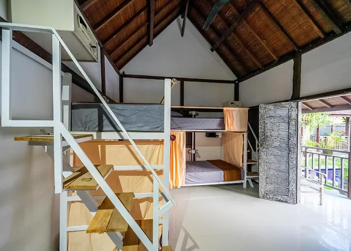 Tropical Albergue *