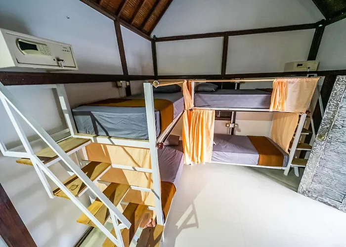 Tropical Albergue *