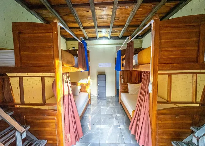 Albergue Tropical Canggu