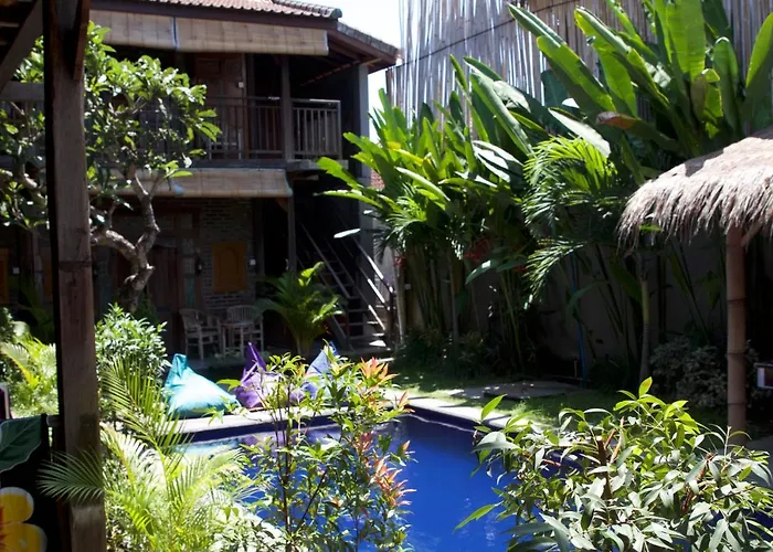 Tropical Albergue *