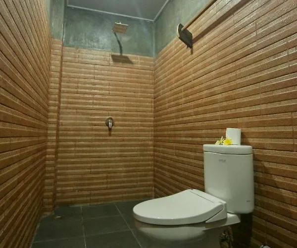 Tropical Albergue *